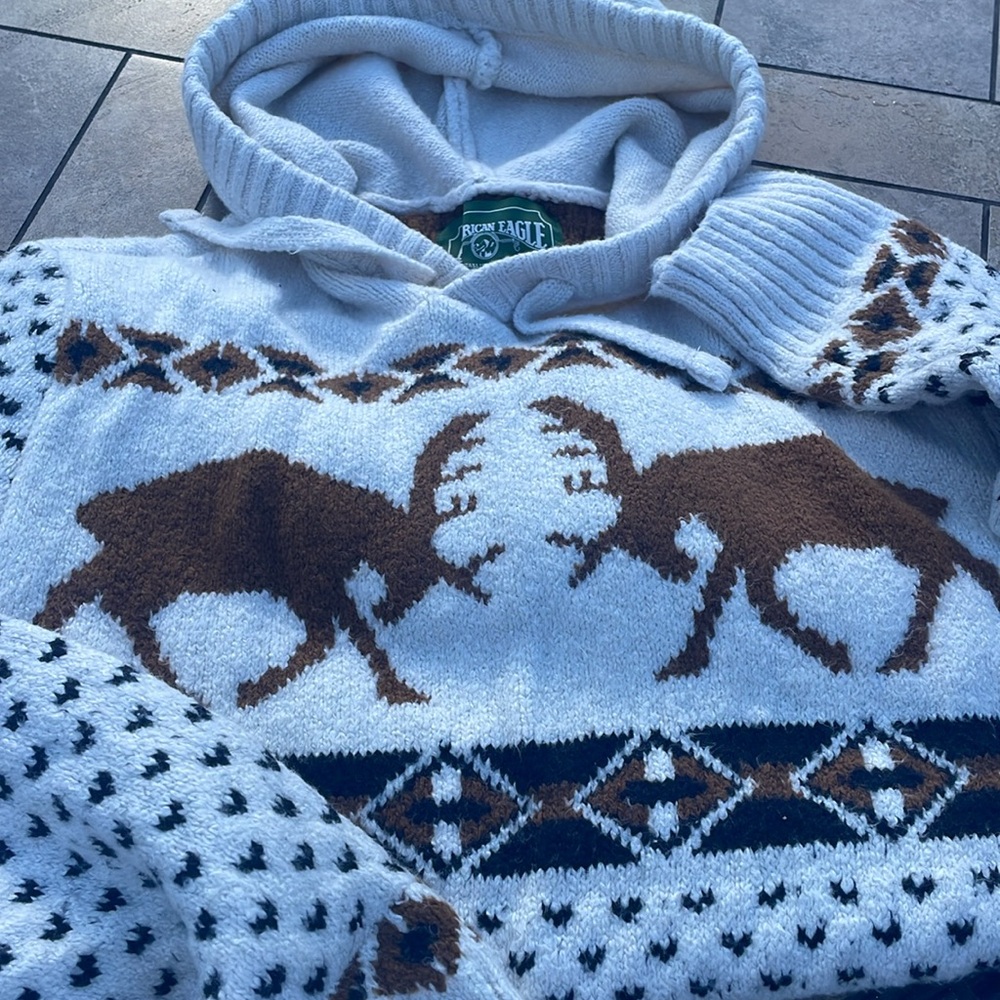 American Eagle Men’s Sweater size M hooded and has front pockets comfortable fit - Picture 4 of 8